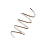 Ledvance Rubans LED Value 1000 40W 3960lm 24v - 840 Blanc Froid | IP66 - 5M/10mm