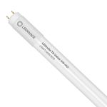 Ledvance LED Buis T8 Value (UN) High Output 24W 2550lm - 830 Warm Wit | 150cm - Vervangt 58W