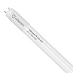 Ledvance LED Buis T8 Value (UN) High Output 8W 800lm - 830 Warm Wit | 60cm - Vervangt 18W
